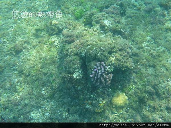 投影片42.JPG 投影片42.JPG