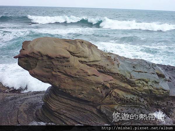 投影片11.JPG 投影片11.JPG