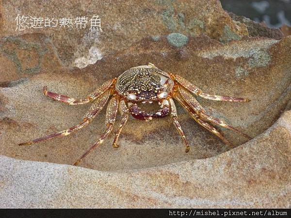 投影片12.JPG 投影片12.JPG
