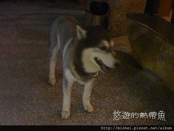 投影片7.JPG 投影片7.JPG