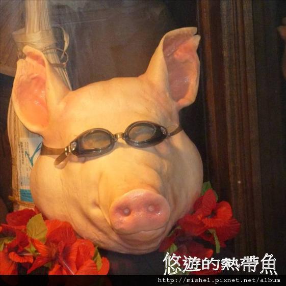 圖片40.jpg 圖片40.jpg