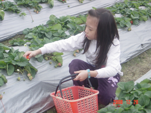 DSC05329.JPG DSC05329.JPG