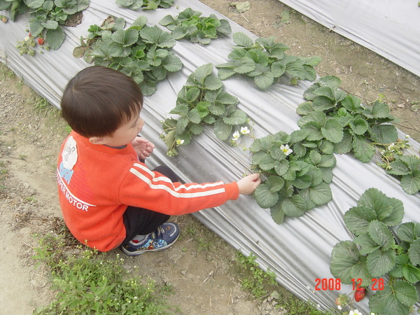 DSC05331.JPG DSC05331.JPG