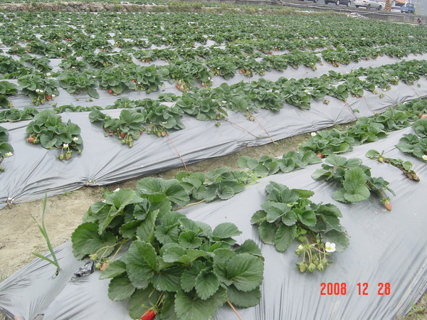 DSC05337.JPG DSC05337.JPG