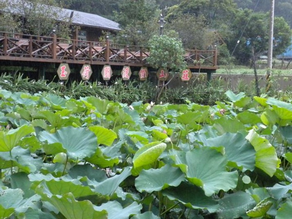 DSCN3394.JPG DSCN3394.JPG