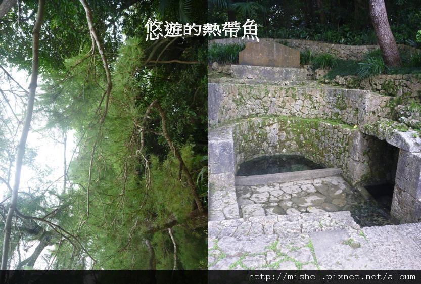 圖片18.jpg 圖片18.jpg