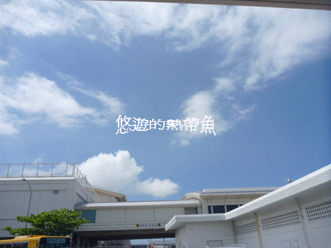 圖片17.gif 圖片17.gif