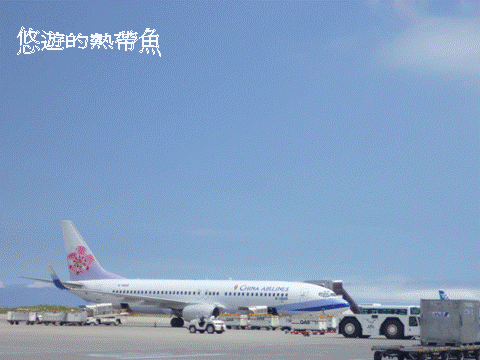 圖片11.gif 圖片11.gif