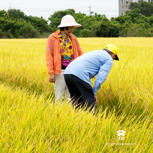 20120626 稻田真的發光啦! (2)