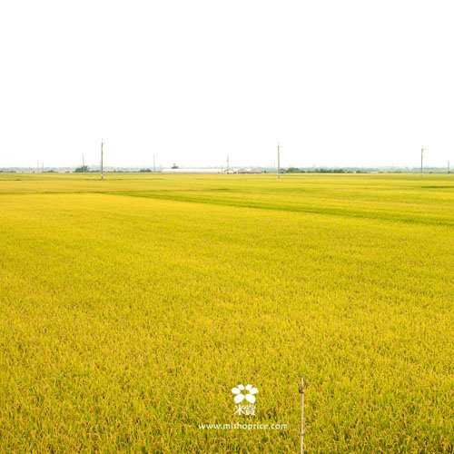 20120702 享受樂天的人生