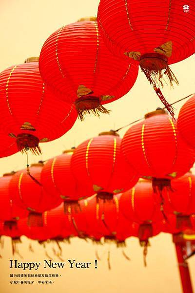 20130208 新年快樂喲