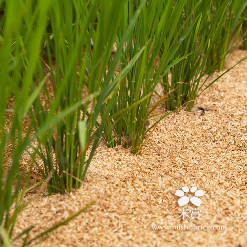 好米有理由-猜猜看3 (1).jpg