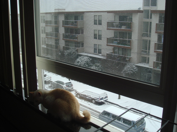 Miska 看雪 Miska 看雪