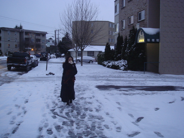 踏雪 踏雪