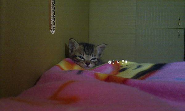 IMAG0592 IMAG0592