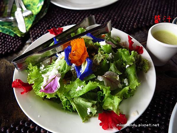 Organic Garden Salad.JPG Organic Garden Salad.JPG
