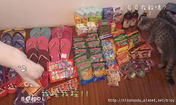 IMAG1894.jpg IMAG1894.jpg