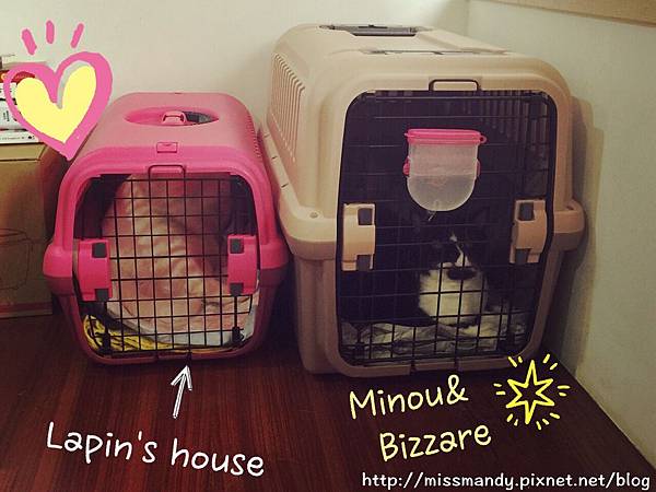 S__7086100.jpg S__7086100.jpg