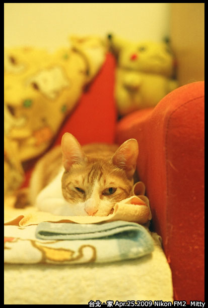 FM2-cat-013.jpg FM2-cat-013.jpg