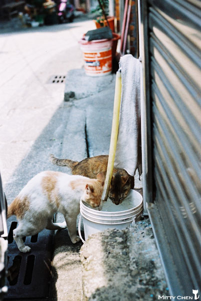 FM2-cat-053-v200.jpg FM2-cat-053-v200.jpg