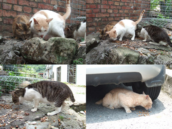 090601平溪.jpg 090601平溪.jpg