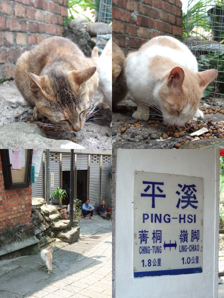 090601平溪2.jpg 090601平溪2.jpg