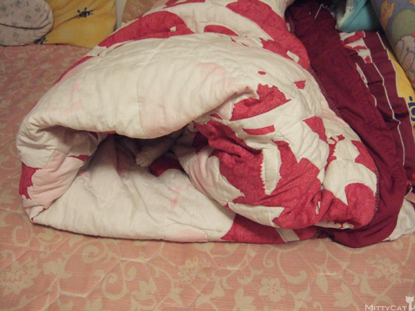 090807-01.jpg 090807-01.jpg