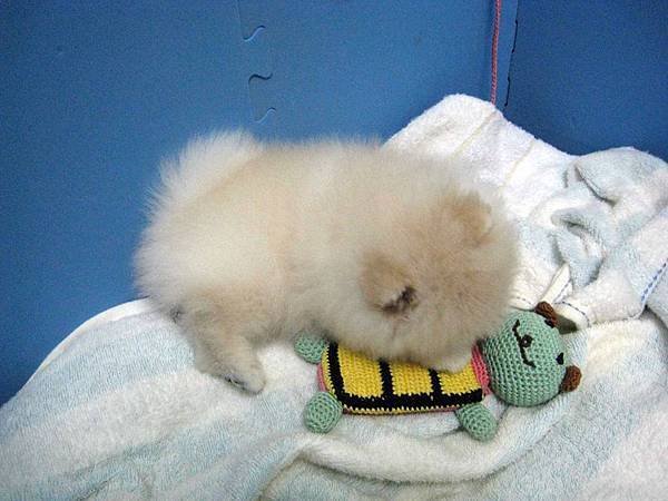 IMG_0806.jpg IMG_0806.jpg