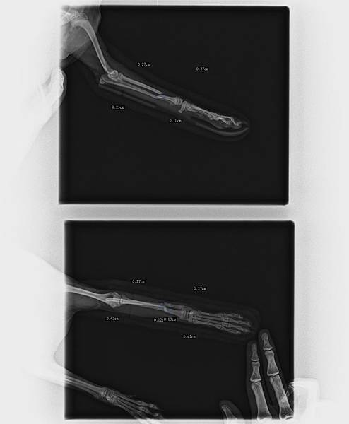 0980204828_130513_UP_EXM_0000_fujicr-PC