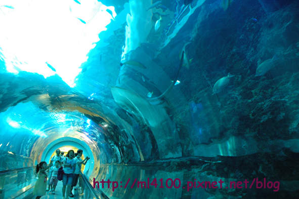 海底隧道 海底隧道