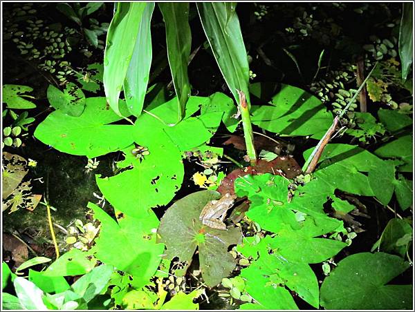 IMG_7555.JPG IMG_7555.JPG