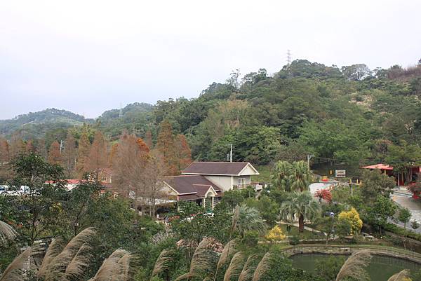 1227新竹新埔鎮九芎湖九湖步道 (7).JPG 1227新竹新埔鎮九芎湖九湖步道 (7).JPG