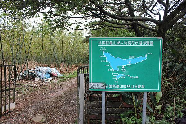 0309龜山大坑桐花步道陳厝坑山 (4).JPG