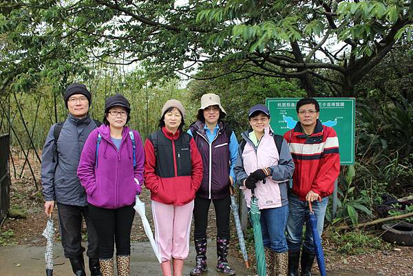 0309龜山大坑桐花步道陳厝坑山 (5).JPG