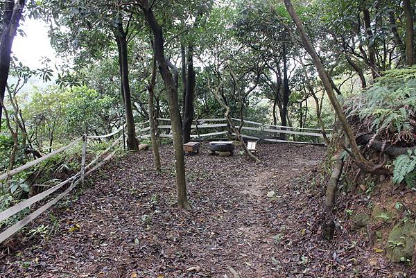 0309龜山大坑桐花步道陳厝坑山 (20).JPG