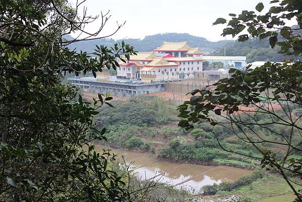 0309龜山大坑桐花步道陳厝坑山 (21).JPG