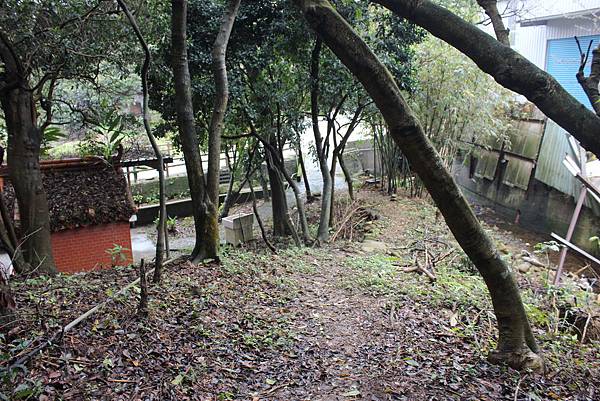 0309龜山大坑桐花步道陳厝坑山 (27).JPG