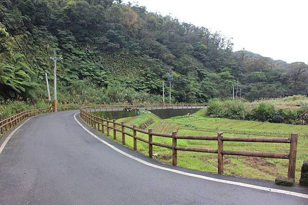 0309龜山大坑桐花步道陳厝坑山 (29).JPG