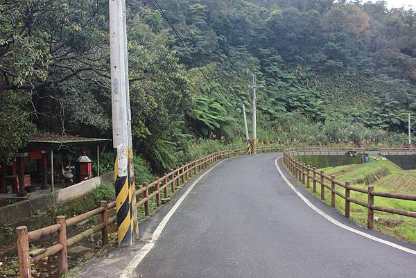 0309龜山大坑桐花步道陳厝坑山 (30).JPG