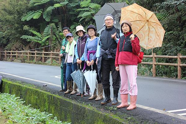 0309龜山大坑桐花步道陳厝坑山 (31).JPG