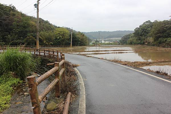 0309龜山大坑桐花步道陳厝坑山 (34).JPG