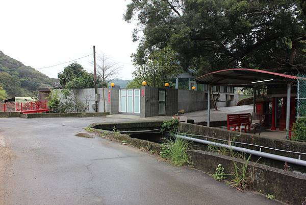 0309龜山大坑桐花步道陳厝坑山 (35).JPG