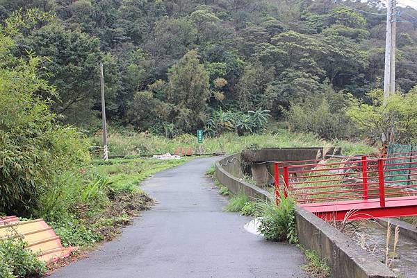 0309龜山大坑桐花步道陳厝坑山 (37).JPG