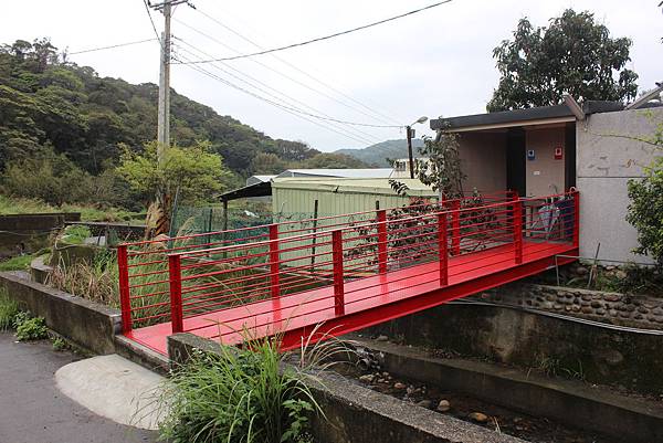 0309龜山大坑桐花步道陳厝坑山 (38).JPG