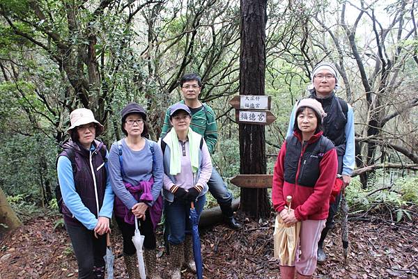0309龜山大坑桐花步道陳厝坑山 (45).JPG