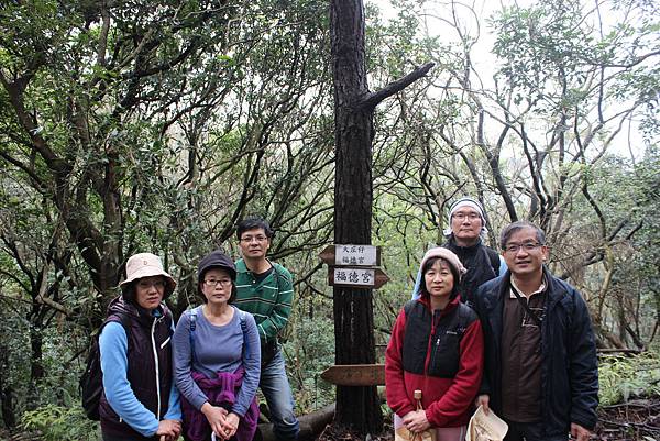 0309龜山大坑桐花步道陳厝坑山 (46).JPG