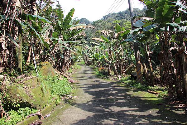 0328石牛山安東橋頭牛肉麵 (4).JPG 0328石牛山安東橋頭牛肉麵 (4).JPG