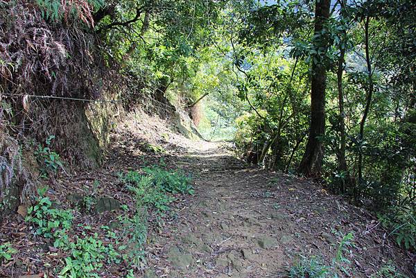 0328石牛山安東橋頭牛肉麵 (9).JPG 0328石牛山安東橋頭牛肉麵 (9).JPG