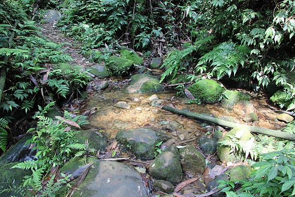0328石牛山安東橋頭牛肉麵 (11).JPG 0328石牛山安東橋頭牛肉麵 (11).JPG