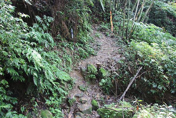0328石牛山安東橋頭牛肉麵 (12).JPG 0328石牛山安東橋頭牛肉麵 (12).JPG